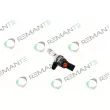 REMANTE 002-003-002299R - Injecteur