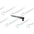 Injecteur REMANTE [002-003-002384R]