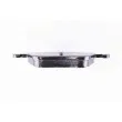 HELLA PAGID 8DB 355 013-351 - Jeu de 4 plaquettes de frein avant