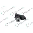 REMANTE 002-010-001306R - Unité pompe-injecteur