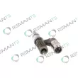 REMANTE 002-010-001316R - Unité pompe-injecteur