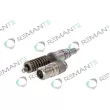 REMANTE 002-010-001316R - Unité pompe-injecteur