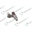 REMANTE 002-010-001316R - Unité pompe-injecteur