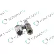 REMANTE 002-010-001343R - Unité pompe-injecteur