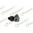 REMANTE 002-010-001654R - Unité pompe-injecteur