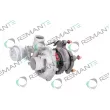 REMANTE 003-001-000113R - Turbocompresseur, suralimentation