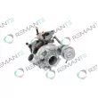 REMANTE 003-001-001655R - Turbocompresseur, suralimentation