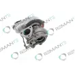 REMANTE 003-001-001737R - Turbocompresseur, suralimentation
