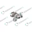 REMANTE 003-001-004111R - Turbocompresseur, suralimentation