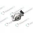 REMANTE 003-002-001250R - Turbocompresseur, suralimentation