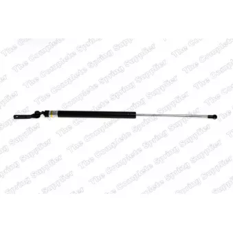 Vérin de hayon, de coffre arrière gauche KILEN [460002]