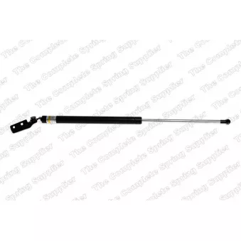 Vérin de hayon, de coffre arrière droit KILEN [460003]