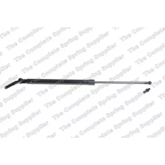 Vérin de hayon, de coffre arrière gauche KILEN [460015]