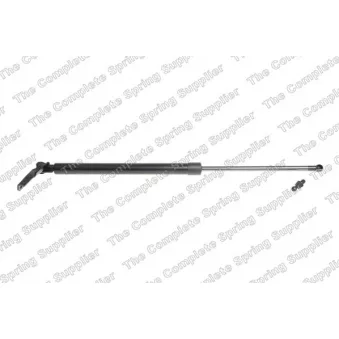 Vérin de hayon, de coffre arrière gauche KILEN [460017]