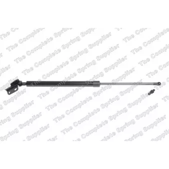 Vérin de hayon, de coffre arrière droit KILEN [460018]