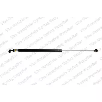 Vérin de hayon, de coffre arrière gauche KILEN [464005]