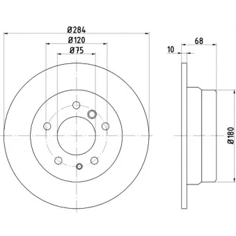 HELLA PAGID 8DD 355 100-661 - Jeu de 2 disques de frein arrière