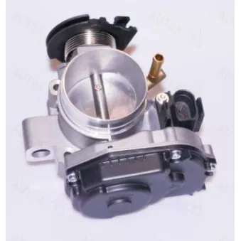 AUTEX 961051 - Corps papillon