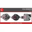 CASCO CAL40A60AS - Alternateur