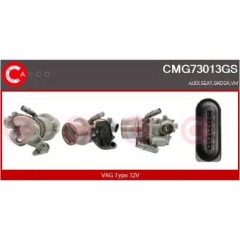 CASCO CMG73013GS - Module-EGR