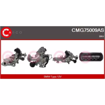 CASCO CMG75009AS - Module-EGR