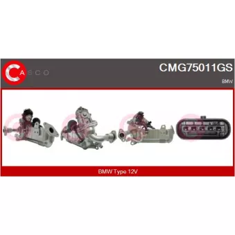CASCO CMG75011GS - Module-EGR