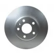 HELLA PAGID 8DD 355 113-881 - Jeu de 2 disques de frein avant