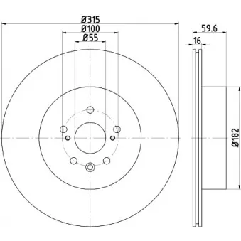 HELLA PAGID 8DD 355 114-811 - Jeu de 2 disques de frein arrière