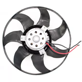 DOGA EVW096 - Ventilateur, refroidissement du moteur