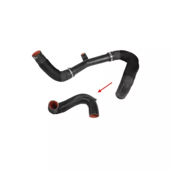 Gaine de suralimentation GOOM OEM 1389890080