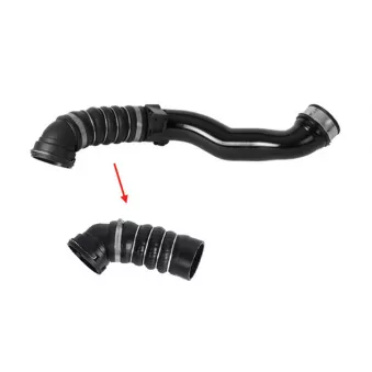 Gaine de suralimentation GOOM OEM 11617796292