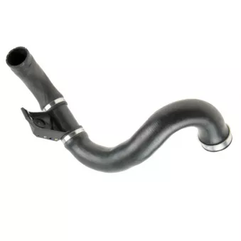 Gaine de suralimentation GOOM OEM 5120147AA