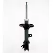 GOOM F210G0174 - Amortisseur avant gauche 