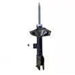 GOOM F210G0183 - Amortisseur avant droit 