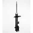 GOOM F210G0189 - Amortisseur avant droit 