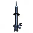 GOOM F210G0320 - Amortisseur avant droit 