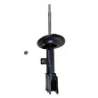 GOOM F210G0591 - Amortisseur avant droit 