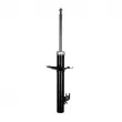 GOOM F210G1099 - Amortisseur avant droit 