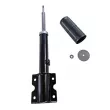 GOOM F210G1512 - Jeu de 2 amortisseurs avant