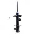 GOOM F210G1548 - Amortisseur avant droit 