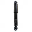 Jeu de 2 amortisseurs arrière GOOM [F220G1319]