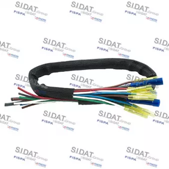 Kit de montage, kit de câbles SIDAT 405399 pour PEUGEOT 206 2.0 RC - 177cv