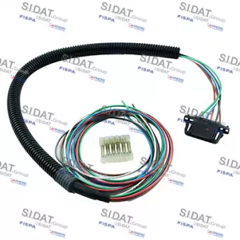 Kit de montage, kit de câbles FISPA 405125 pour RENAULT CLIO 1.2 16V 75cv