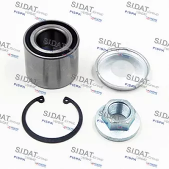 Roulement de roue arrière FISPA OEM 09196286