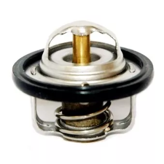 Thermostat, liquide de refroidissement FISPA OEM 22.059