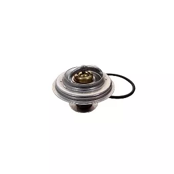 Thermostat, liquide de refroidissement FISPA OEM 16-1020