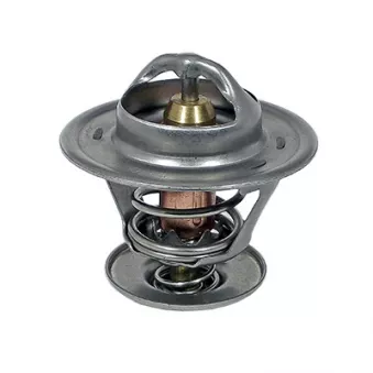 Thermostat, liquide de refroidissement FISPA OEM 01338038