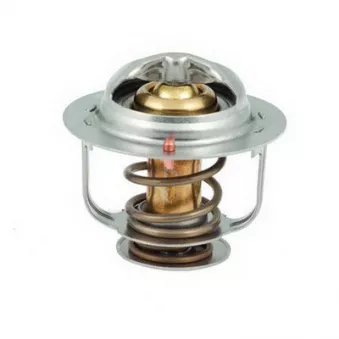 Thermostat, liquide de refroidissement FISPA OEM 212000c810