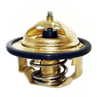 Thermostat, liquide de refroidissement FISPA OEM 22014