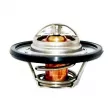 FISPA 94.507 - Thermostat, liquide de refroidissement